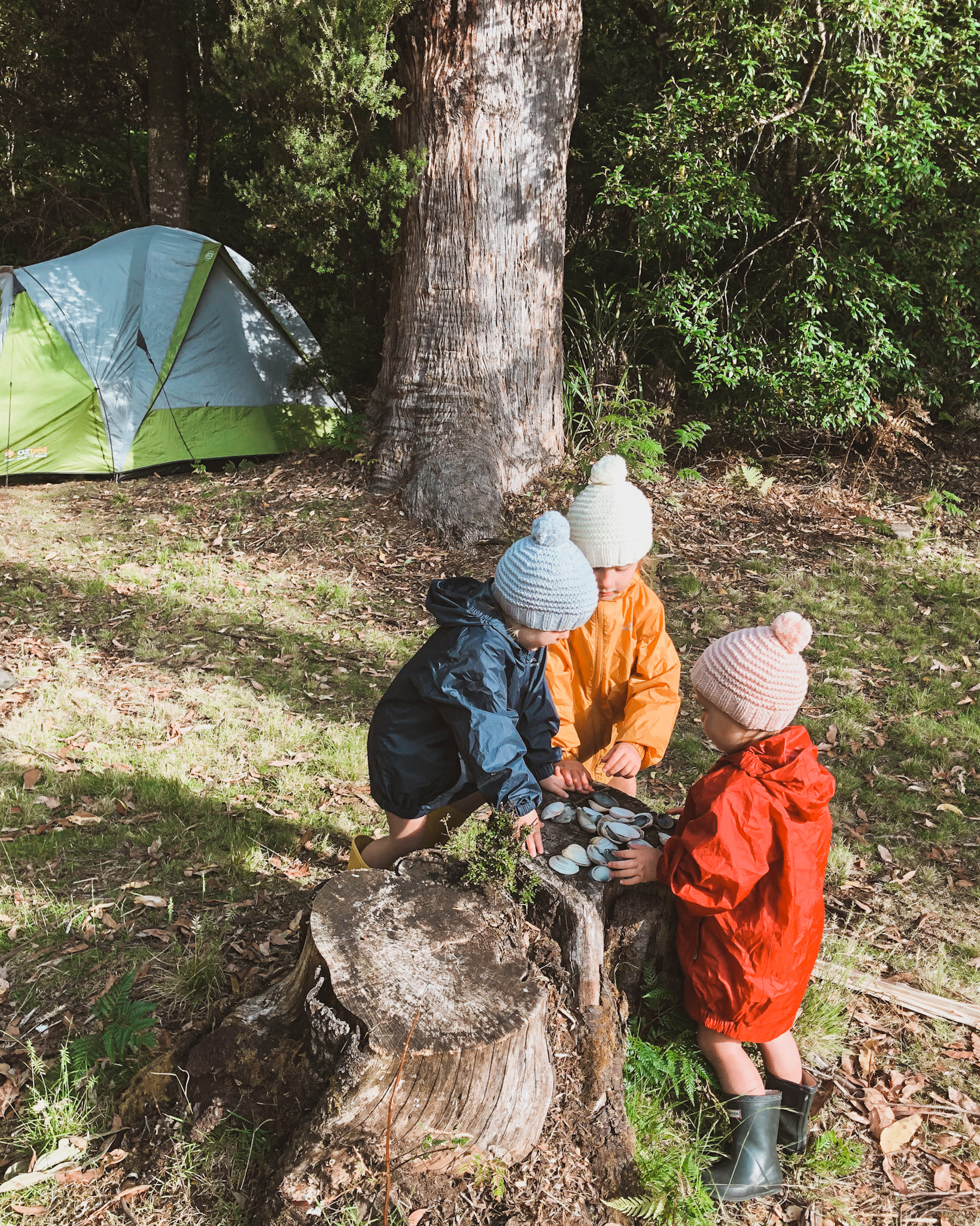 Three young sisters playing with shells on a tree stump in front of their family tent in a Tasmanian national park, showcasing the low-cost, authentic experiences at the heart of high-low travel, where simple joys complement a strategic mix of budget-friendly and luxury experiences.