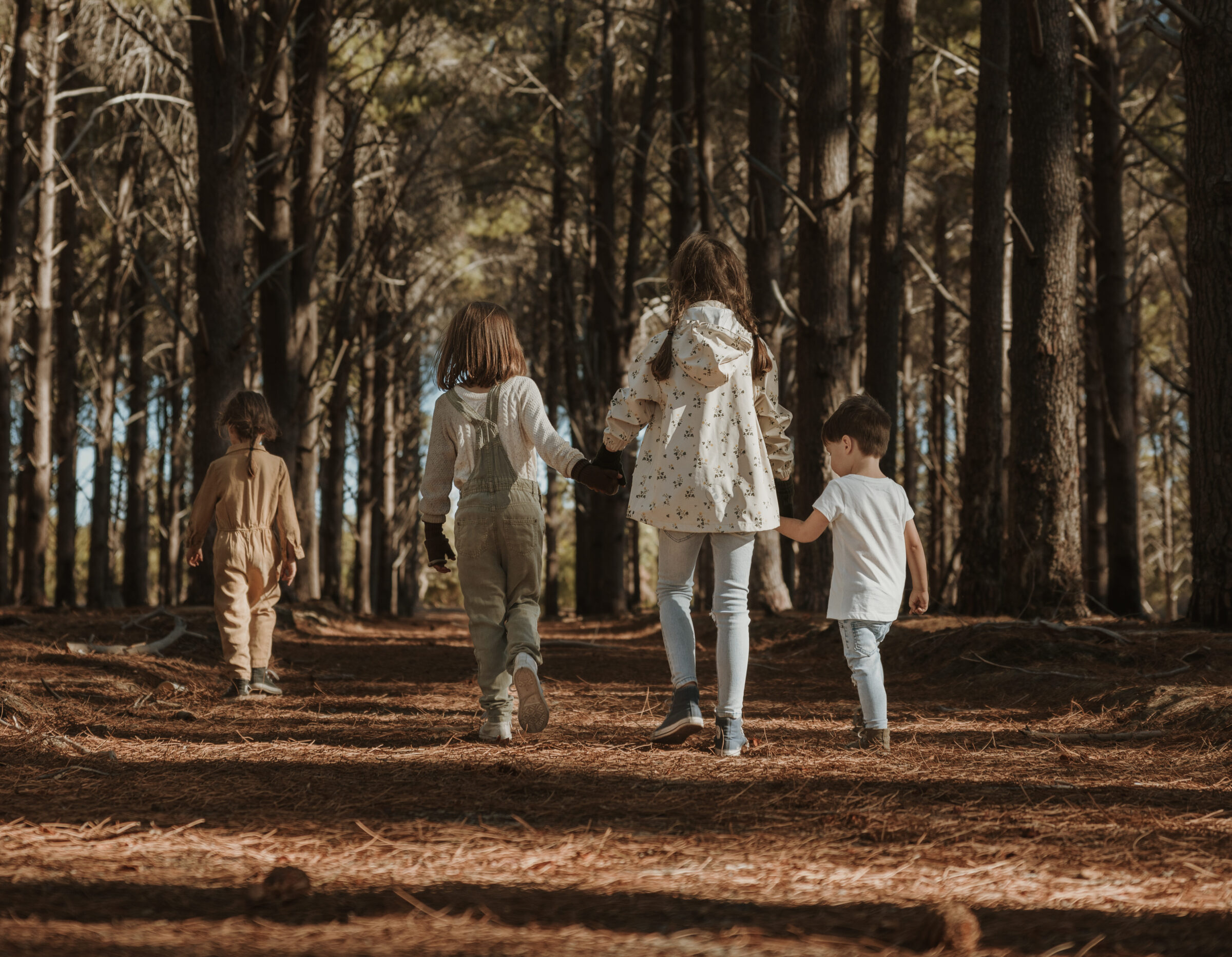 Four young children walking away in the woods, two holding hands, capturing the essence of adventure and the considerations of packing for travel with kids.