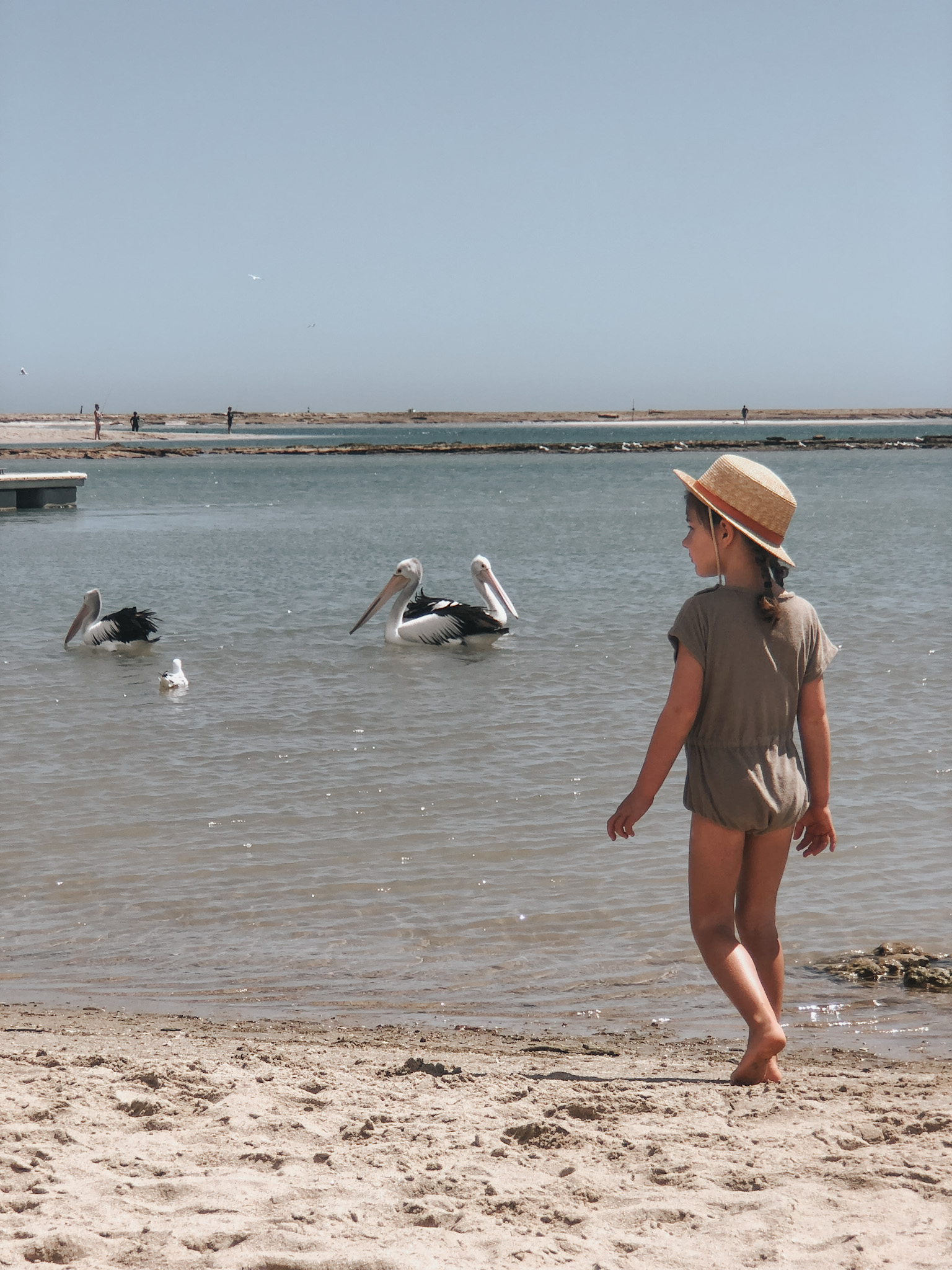 Young girl walking along the beach with pelicans swimming in the background, capturing the essence of planning for a family vacation focused on rest and relaxation. This scene highlights the diversity of family trip desires, from beach lounging to cultural exploration and active adventures in nature.