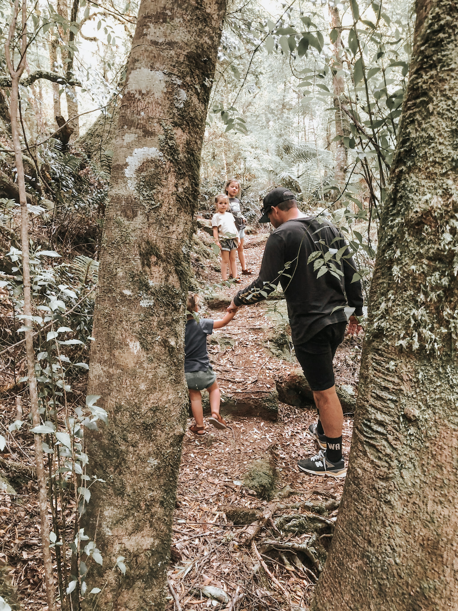 Father and his three daughters hiking in the Tasmanian forest, with the father gently helping the youngest up a step, embodying the essence of high-low travel by blending family bonding with cost-effective outdoor adventures.