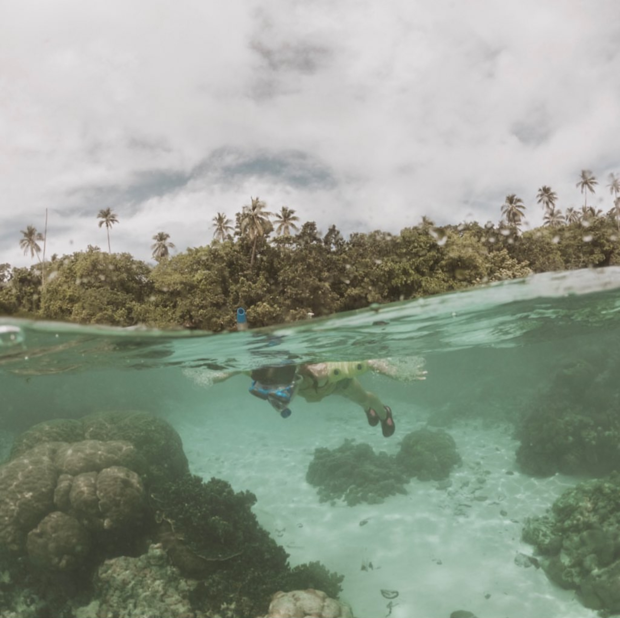 Young girl snorkeling in the ocean with palm trees in the background, exemplifying the balance in creating a family travel budget by researching costs for fun and entertainment. This image illustrates the importance of planning where to splurge and where to save, ensuring the trip is enjoyable without overextending finances.