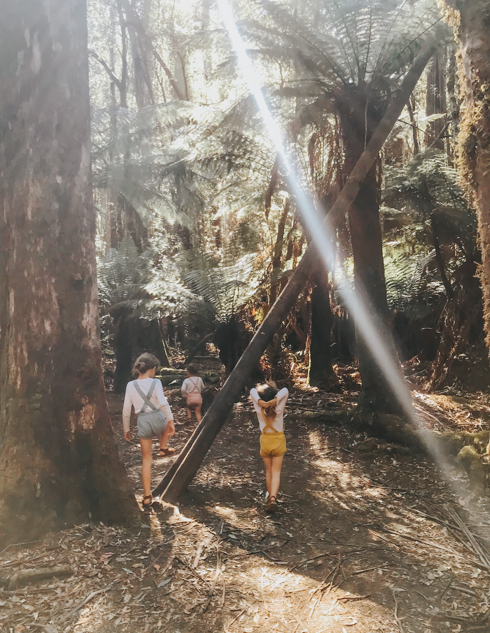 Three young girls walking through a forest on a family holiday, illustrating the careful consideration involved in picking a travel destination that aligns with both the family's wishes and financial realities, demonstrating how thoughtful planning and flexibility can make a variety of destinations fit a family travel budget.