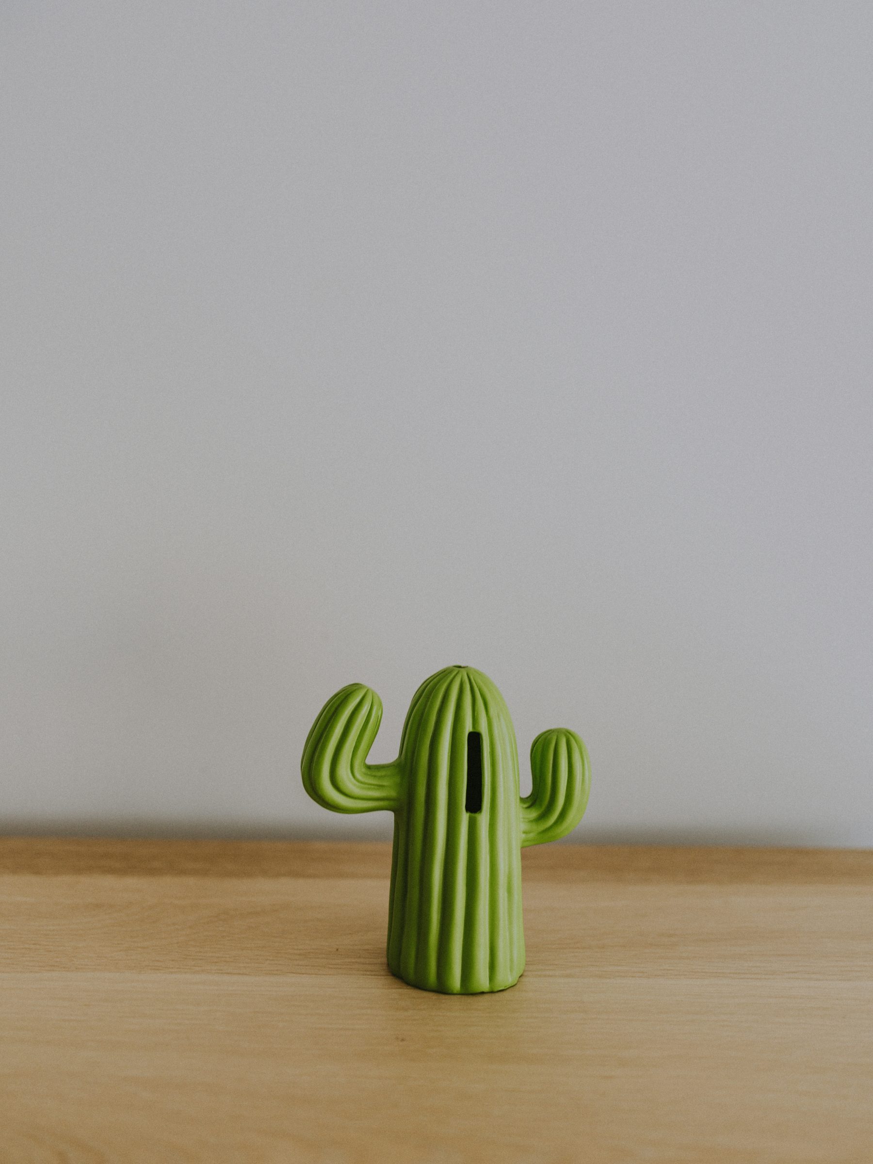 Cactus-shaped money bank sitting on a wooden table, representing creative ways to grow your travel savings and keep your travel savings thriving.
